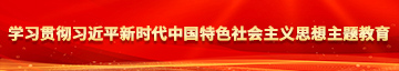 鸡扒插入妹妹穴里学习贯彻习近平新时代中国特色社会主义思想主题教育