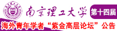 想被大鸡巴操骚逼南京理工大学第十四届海外青年学者紫金论坛诚邀海内外英才！